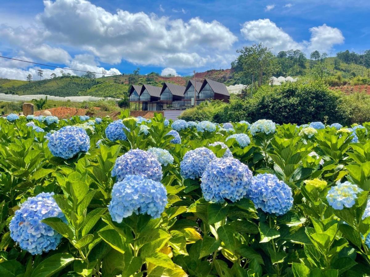 Minh Ly Hotel Đà Lạt Extérieur photo